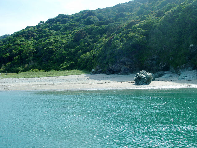 地ノ島の浜辺_松林渡船