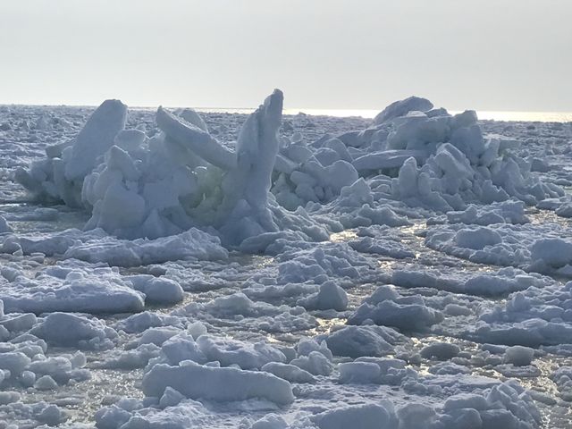 流氷があるかどうかはその日の天候次第!?_網走流氷観光砕氷船おーろら
