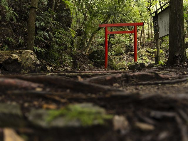 白滝大明神