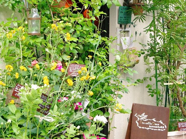 住宅街にあって、入口も小さいのですが、中に入ると別世界が広がっています。_Fra cotta Deco(フラコッタ デコ)フラワースクール