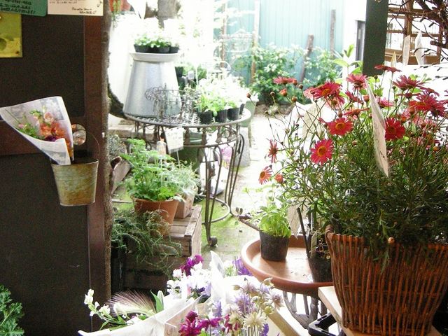 お店の中に入ると、庭が広がっています。_Fra cotta Deco(フラコッタ デコ)フラワースクール