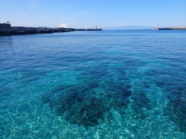 セブンシーズ湘南本店