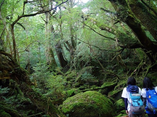 まつばんだ交通(屋久島ツアーオペレーションズ
