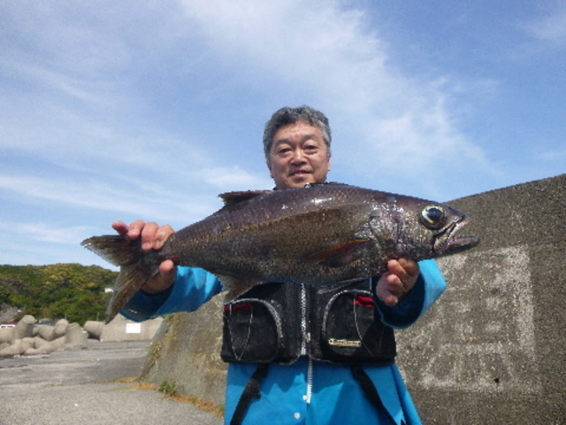 ギンムツ3.3kg_久寿丸