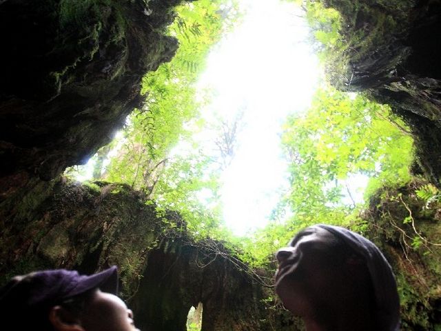 ウイルソン株で記念写真を撮りましょう。_樹之香