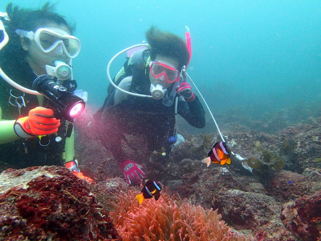 小田原ダイビングショップ OPEN WATER