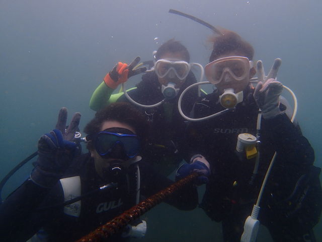 小田原ダイビングショップ OPEN WATER
