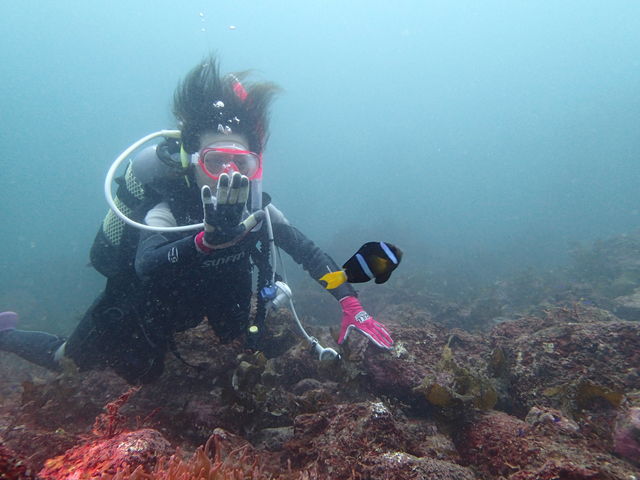 小田原ダイビングショップ OPEN WATER