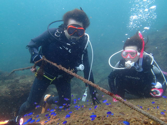 小田原ダイビングショップ OPEN WATER