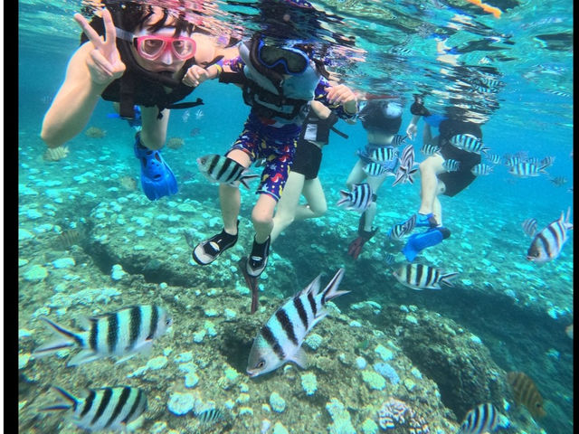 青の洞窟ダイビング(The Dive)