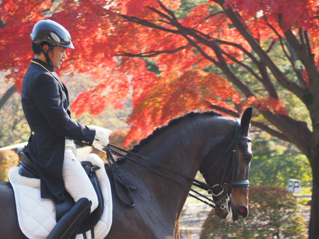 座間近代乗馬クラブ
