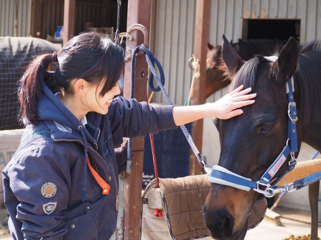 座間近代乗馬クラブ