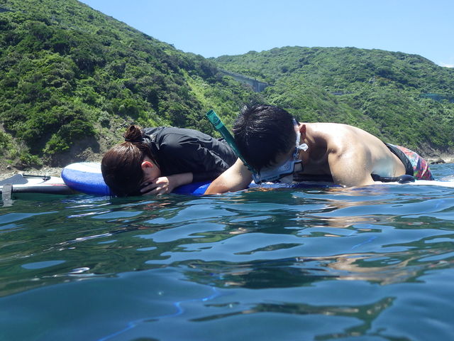 海の中を覗くと綺麗な光景が見られます!_恋ヶ浦自然学校