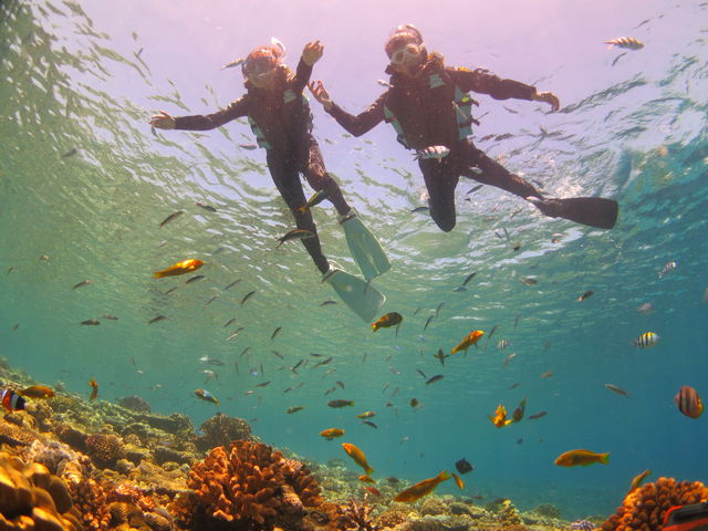 サンゴが豊富な水納島、瀬底島でのんびりシュノーケル_アシビーブルー
