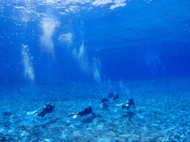 コレが日本の南国・ケラマブルー!!_ディーズパルス沖縄