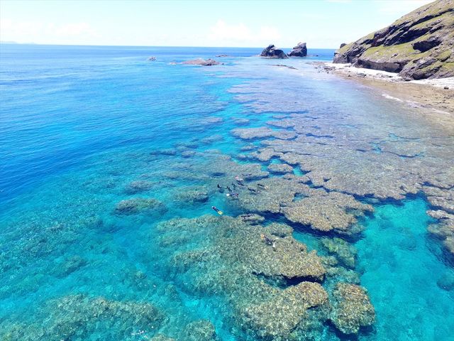 コレ、コレ!!
日本の南国・おきなわ♡ケラマ諸島の海を潜り倒そう!!_ディーズパルス沖縄