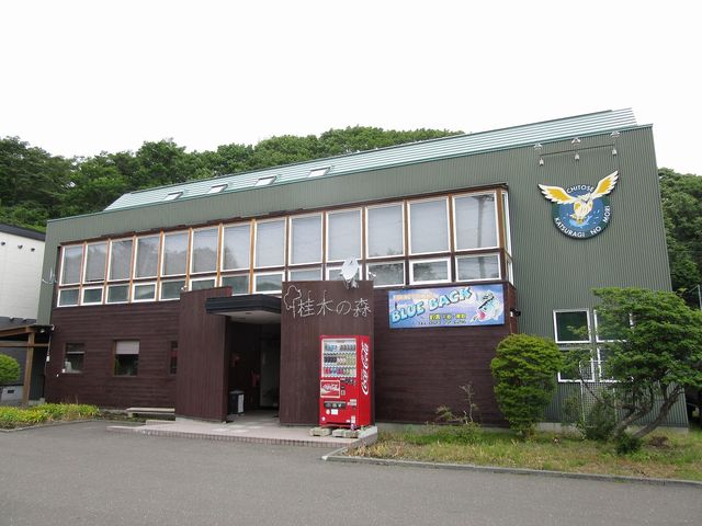 ブルーバック