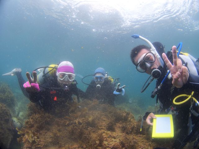 水深5mの浅瀬です。
すぐ真上が水面なので安心。_トリトンダイビングリゾート