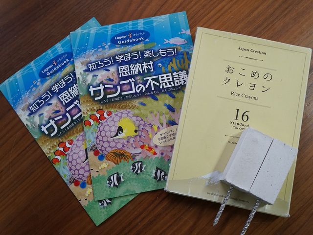 沖縄ダイビングサービスLagoon(ラグーン)