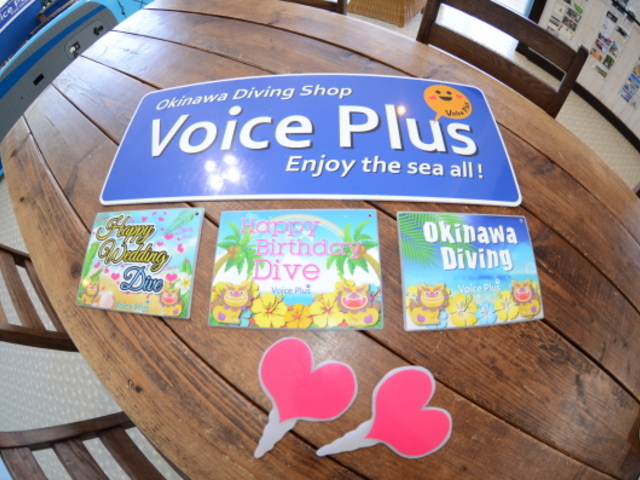 サプライズ写真もお受けしております☆誕生日、ハネムーン、ラブラブツアーご希望お受けします。_Voice Plus(ボイスプラス)