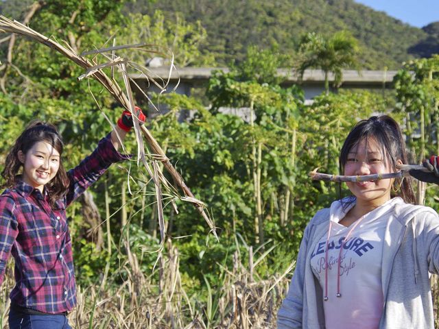 田舎暮らしを体験できちゃう!_石垣島観光