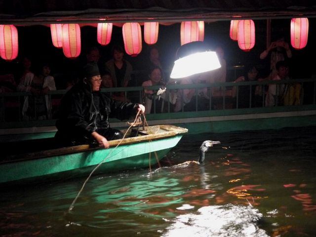 原鶴温泉の鵜飼には九州唯一の女性鵜匠が活躍中。_原鶴温泉旅館協同組合