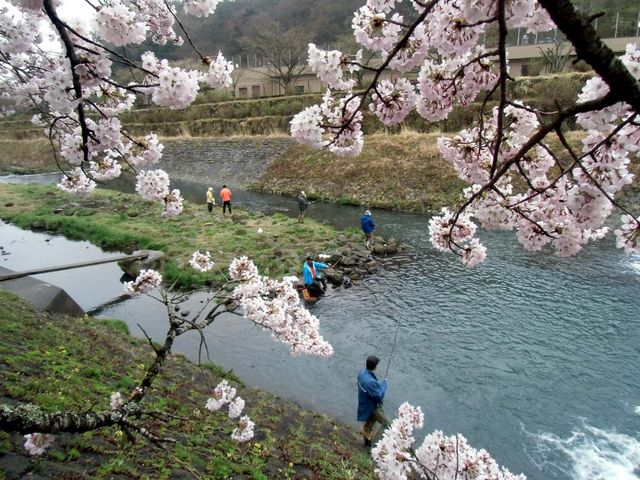 はこね宮城野国際ます釣場