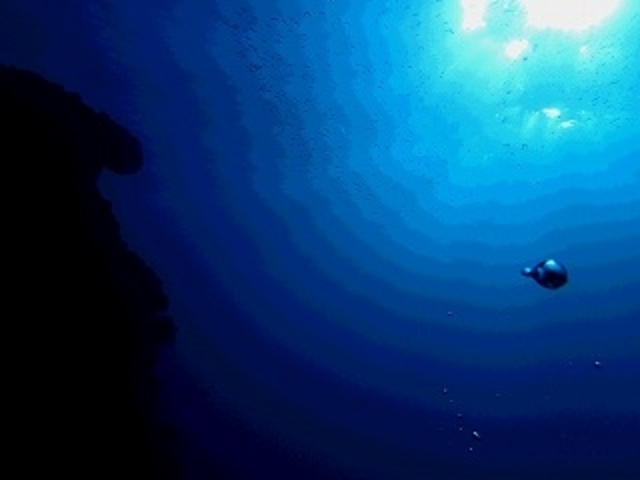 白浜海洋センター