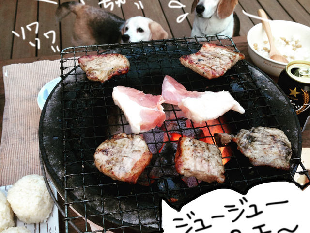 美味しそうな香りしてきたいでしょ〜(よだれ出てますよ!)_マリンボウ