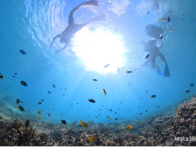 水中ももちろんとてもキレイな今帰仁の海🐠_オーシャンブリッジ沖縄
