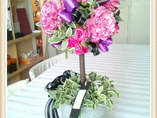 Chez le dill fleur