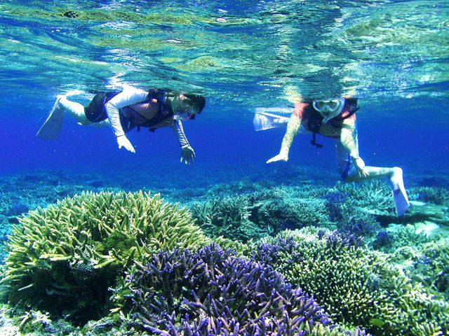 バラス島周辺のサンゴはピカイチですよ!_クロスリバー