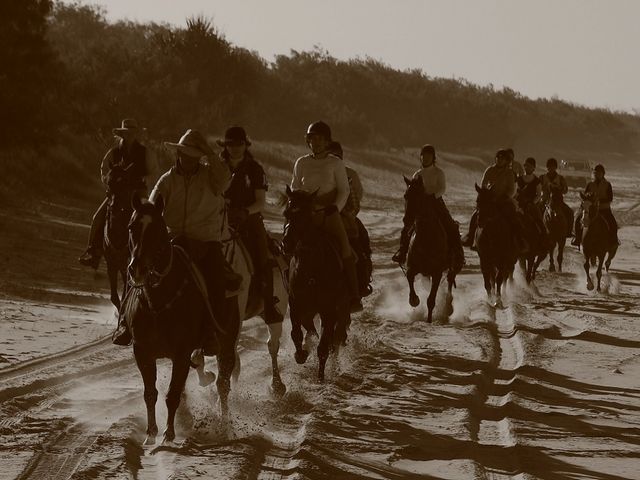 四街道グリーンヒル乗馬クラブ