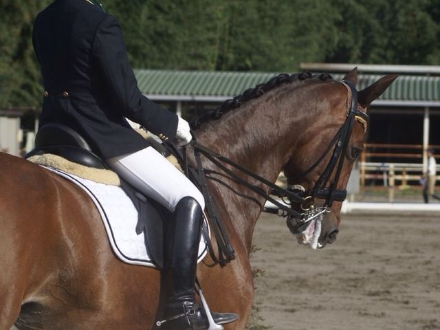 四街道グリーンヒル乗馬クラブ