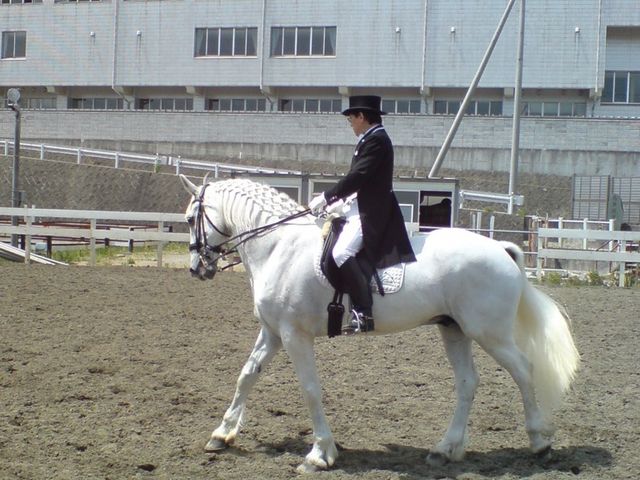 四街道グリーンヒル乗馬クラブ