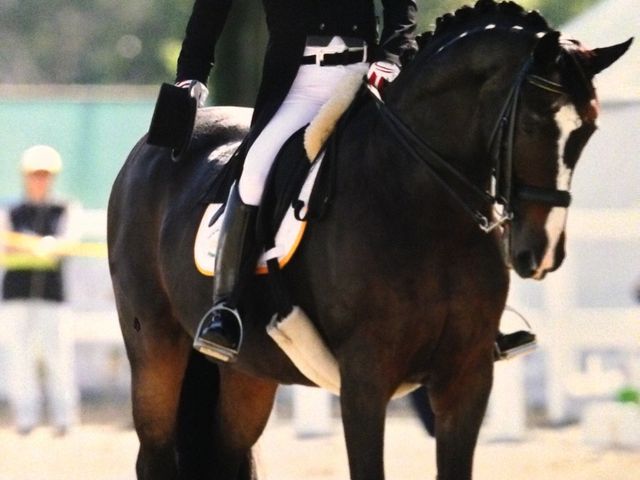 四街道グリーンヒル乗馬クラブ