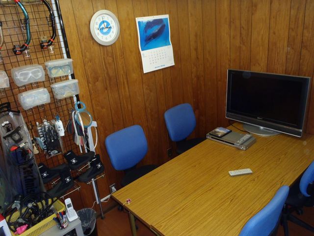 Blue Dolphin Japan