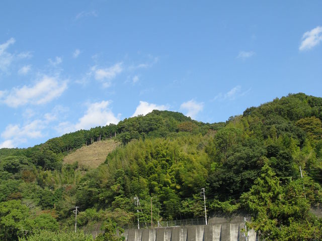 乗馬風景_伊豆の乗馬クラブ天城ホースビレッジ