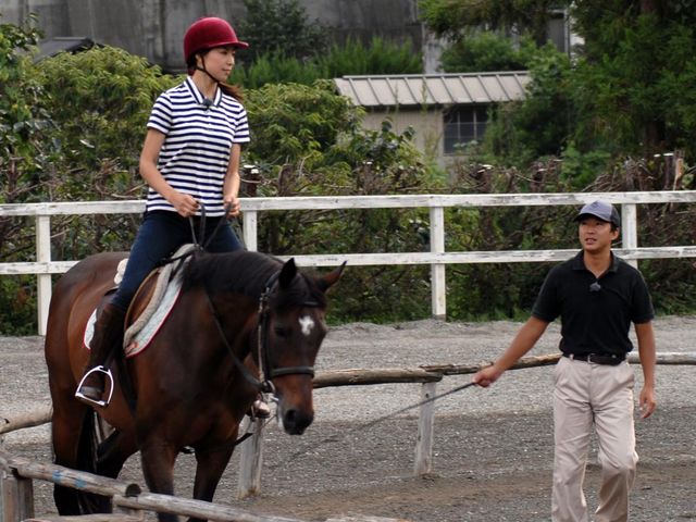 レッスン風景_伊豆の乗馬クラブ天城ホースビレッジ