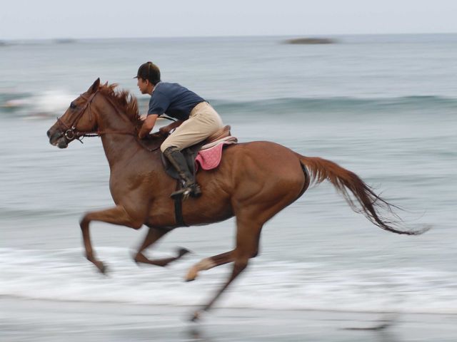 砂浜襲歩_伊豆の乗馬クラブ天城ホースビレッジ