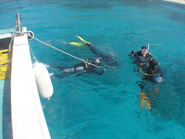 穏やかな海で潜ります_パラダイス倶楽部