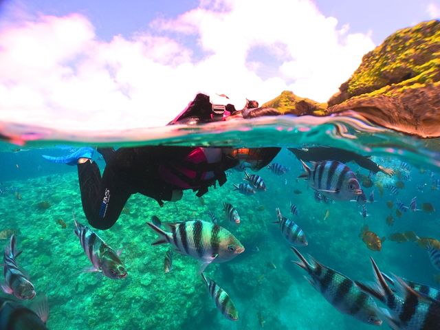 ★熱帯魚に囲まれる竜宮城体験♪_マリンサービスむるぬーし