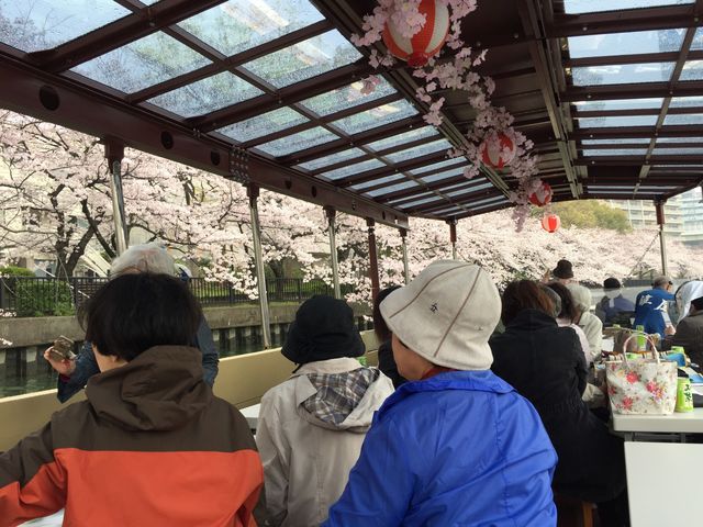 春は大川両岸のソメイヨシノが楽しみ♪桜が咲くのもクルーズも待ち遠しい。_蘇れ!!淀川の舟運 上りコース