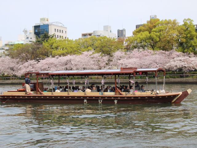 船からゆったり楽しむ桜。混雑知らずで優雅なひととき。_蘇れ!!淀川の舟運 上りコース