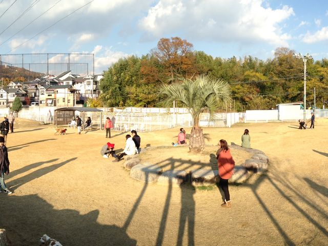 ドッグランは大・中・小の三面の大きさがあります。_ぷらすわん