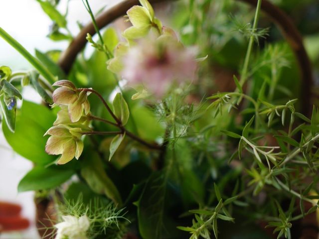 お花をじっくり観察してあなただけのアレンジメントをお作りください。_GEO-IKEBANA