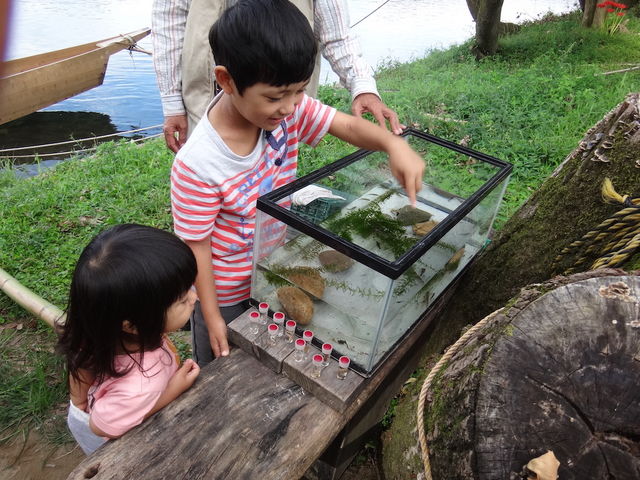 連休はファミリー利用多数。生き物との出会いにも期待☆_天然鮎専門 結の舟