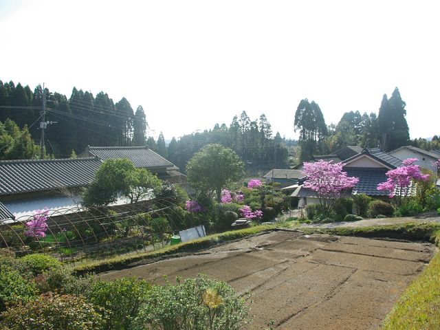 大野地区春先の写真_特定非営利活動法人森人くらぶ