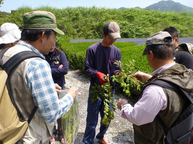 大野地区フットパス活動中の一枚_特定非営利活動法人森人くらぶ