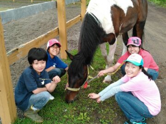 カズホーストレーニングでは、うまとのコミュニケーションを大切にしています。_KAZ HORSE TRAINING